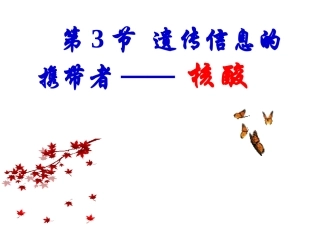 2.3-遗传信息的携带者-核酸-黄玉婵
