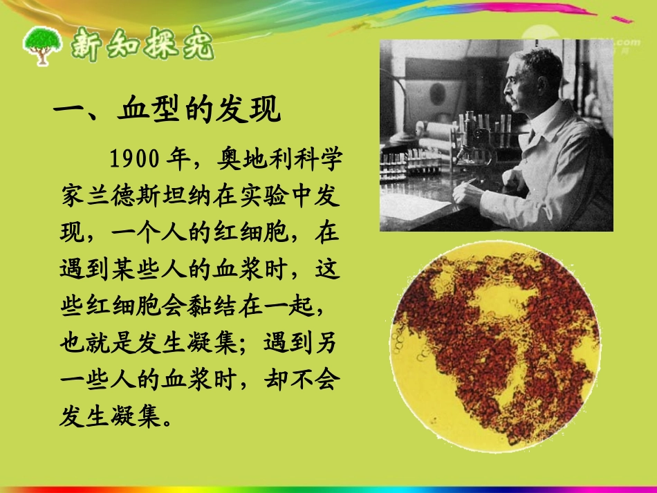 青海省湟川中学第二分校七年级生物《第四节输血与血型》课件-人教新课标版_第3页