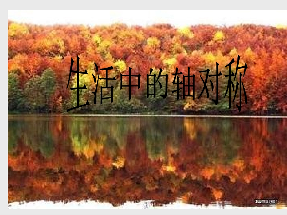 画轴对称图形_第1页