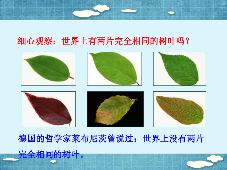 《生命因独特而绚丽》课件3_第2页