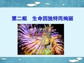 《生命因独特而绚丽》课件3