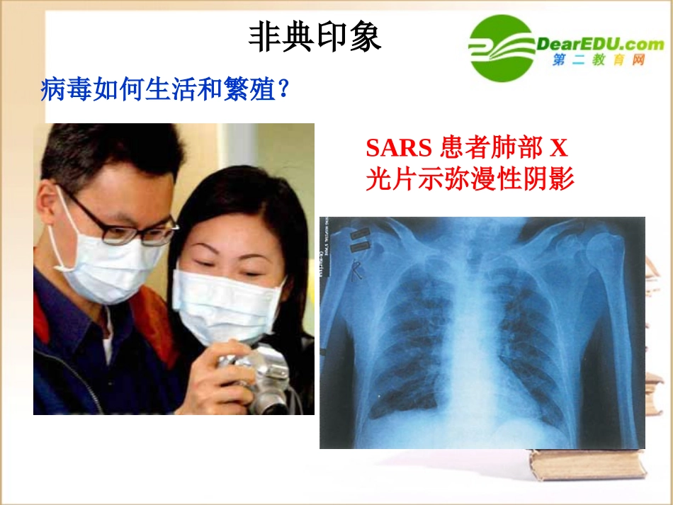 高中生物第一节-从生物圈到细胞课件人教版必修1_第3页