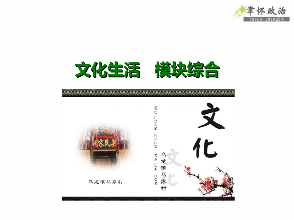 2018文化生活-模块综合-(共12张PPT)_第1页
