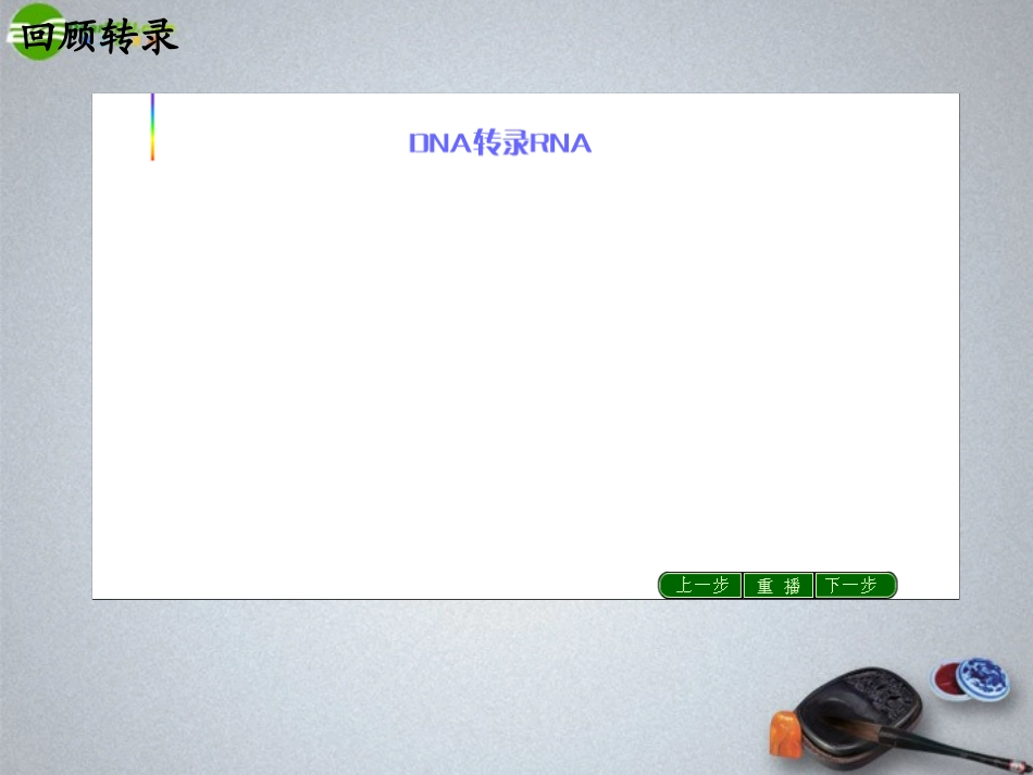 高中生物-基因的表达之翻译课件_第2页