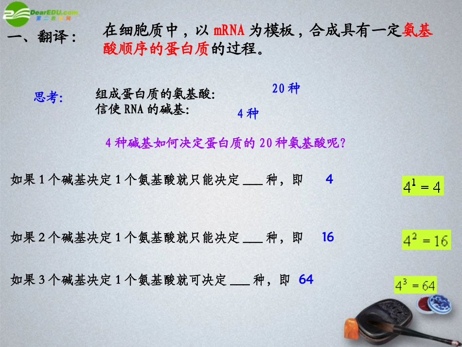 高中生物-基因的表达之翻译课件_第3页