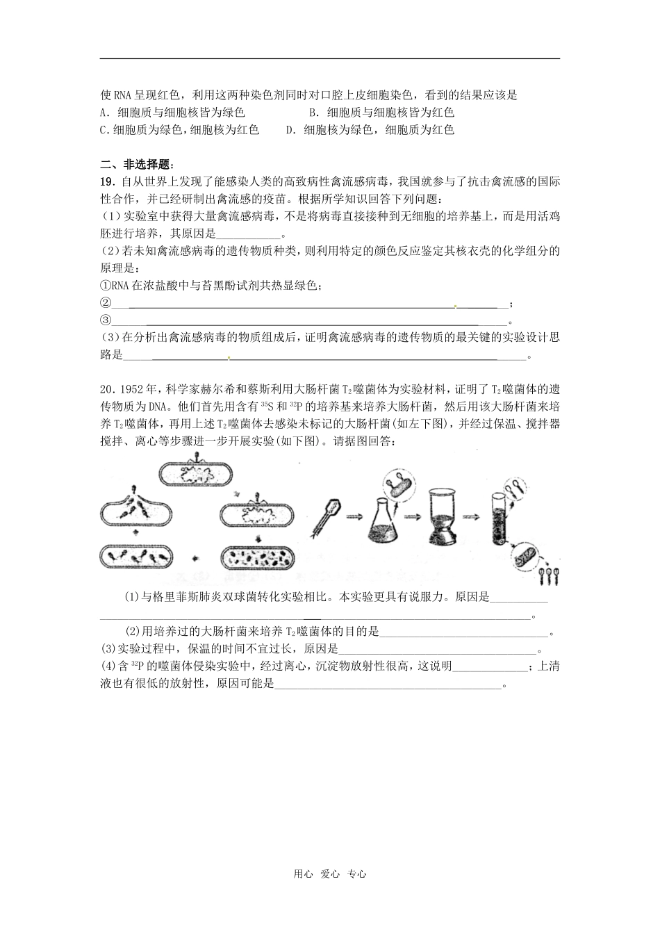 高中生物：-41-探索遗传物质的过程(单元测试)苏教版必修2_第3页