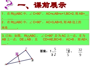 《中考专题复习-关于直角三角形的相关计算》