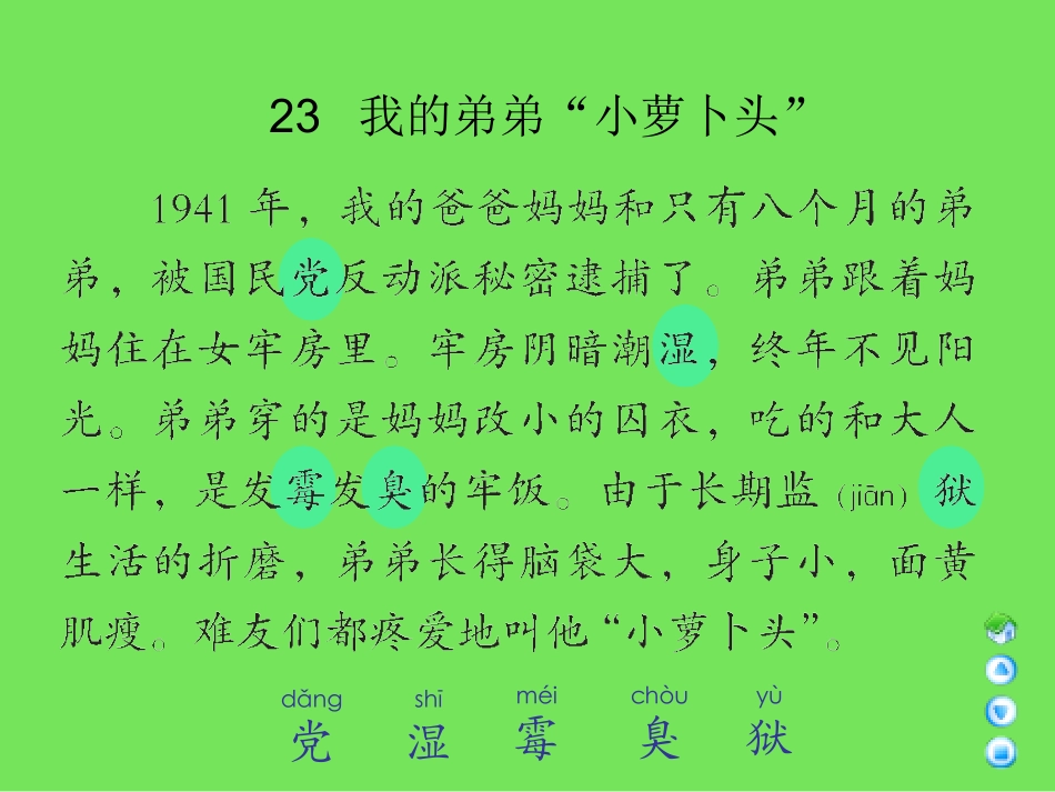 三年级上册《我的弟弟“小萝卜头”》课件(语文A版)_第2页