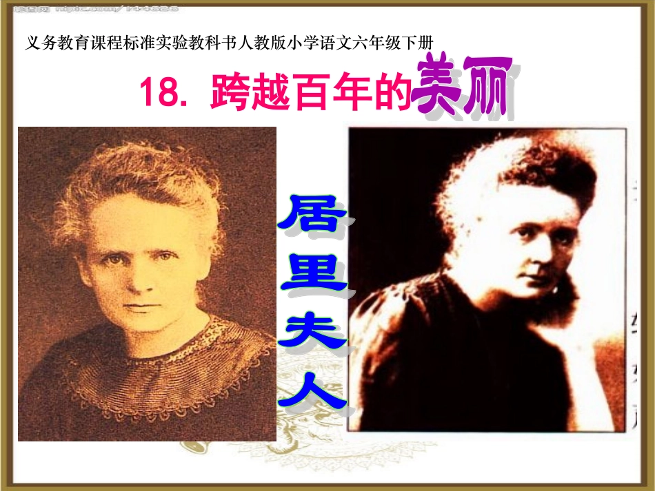 《跨越百年的美丽》18页_第1页