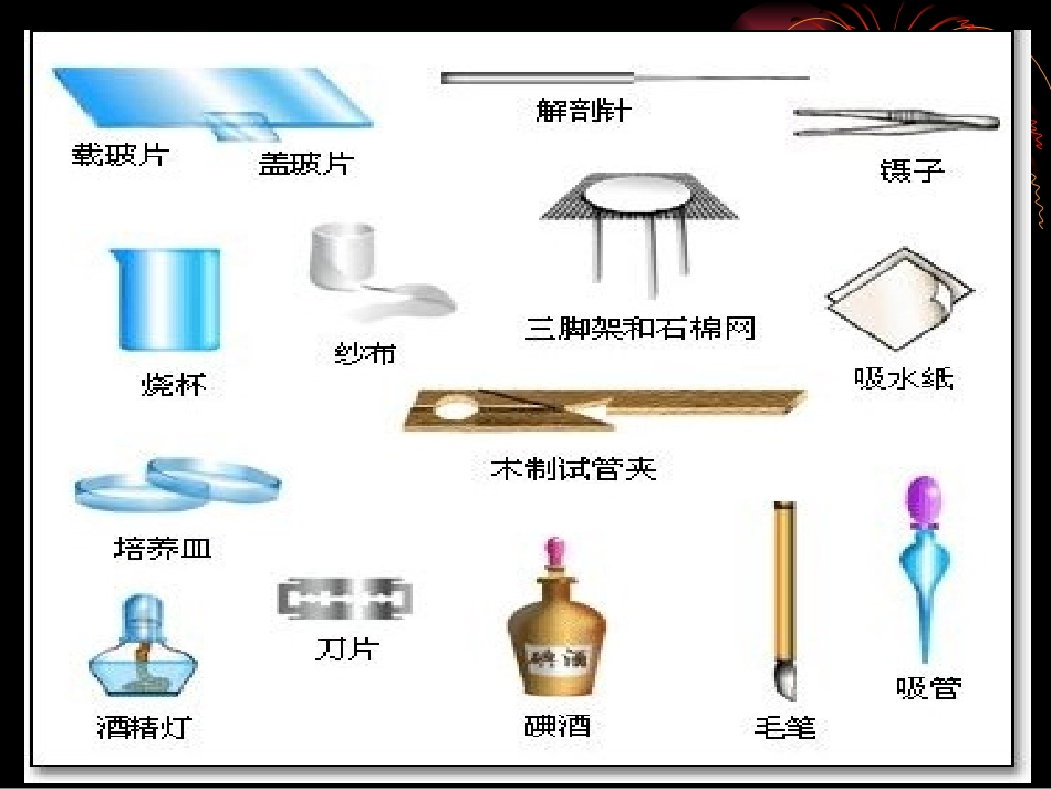 《第一节-走进生物实验室》课件2_第2页