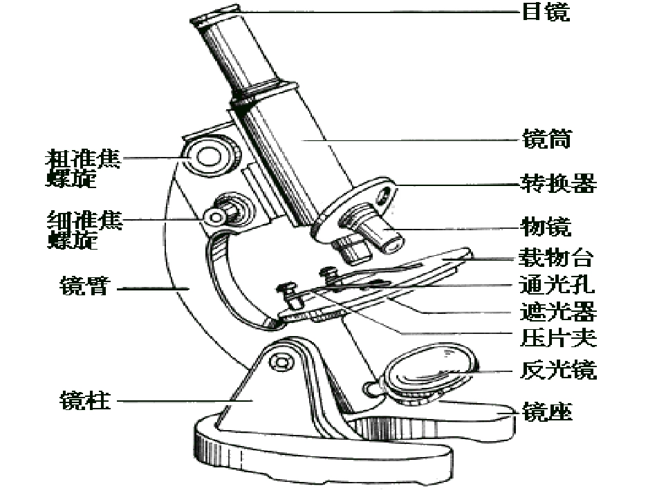 《第一节-走进生物实验室》课件2_第3页