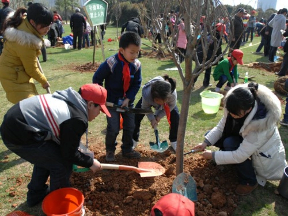 《植树的季节》_第1页