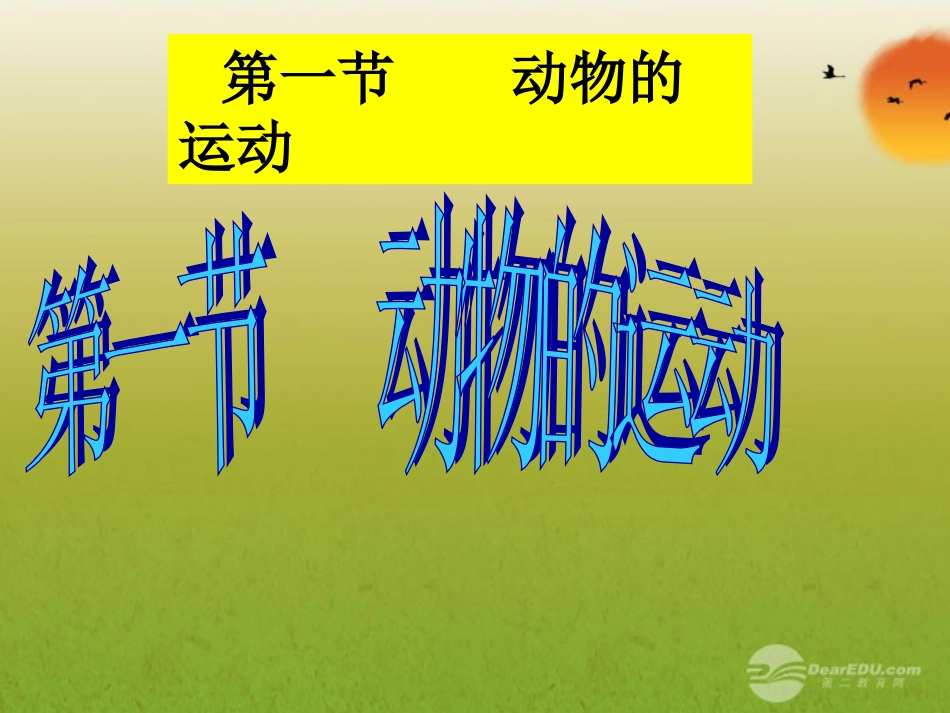 广西灵山县陆屋中学八年级生物上册《动物的运动》课件-人教新课标版_第1页