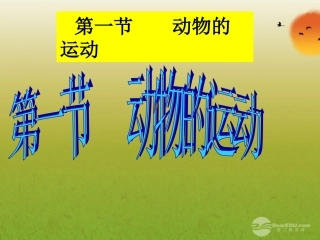 广西灵山县陆屋中学八年级生物上册《动物的运动》课件-人教新课标版