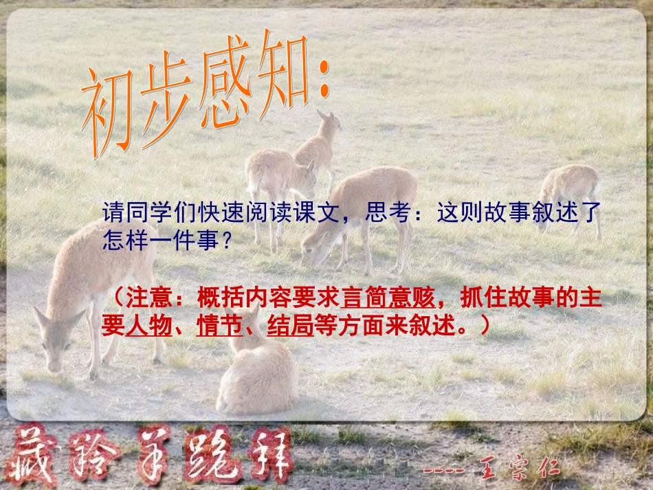 -藏羚羊跪拜_第2页