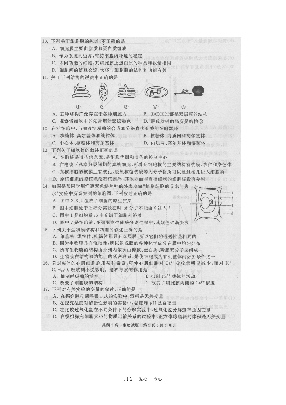 安徽省巢湖市2010-2011学年度高一生物第一学期期末教学质量检测(扫描版)_第2页