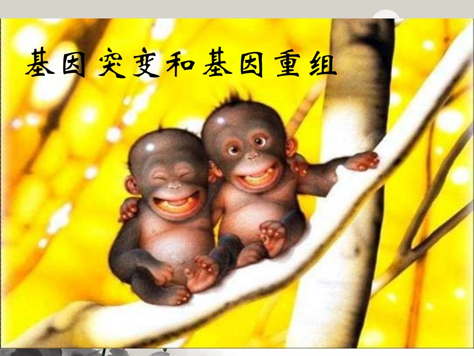 陕西地区2012高中生物复习资料-第5章第1节《基因突变和基因重组》课件-新人教版必修2_第1页