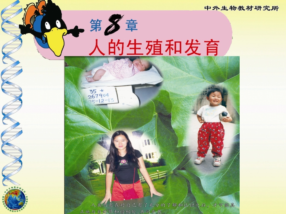 第一节精卵结合孕育新的生命_第1页