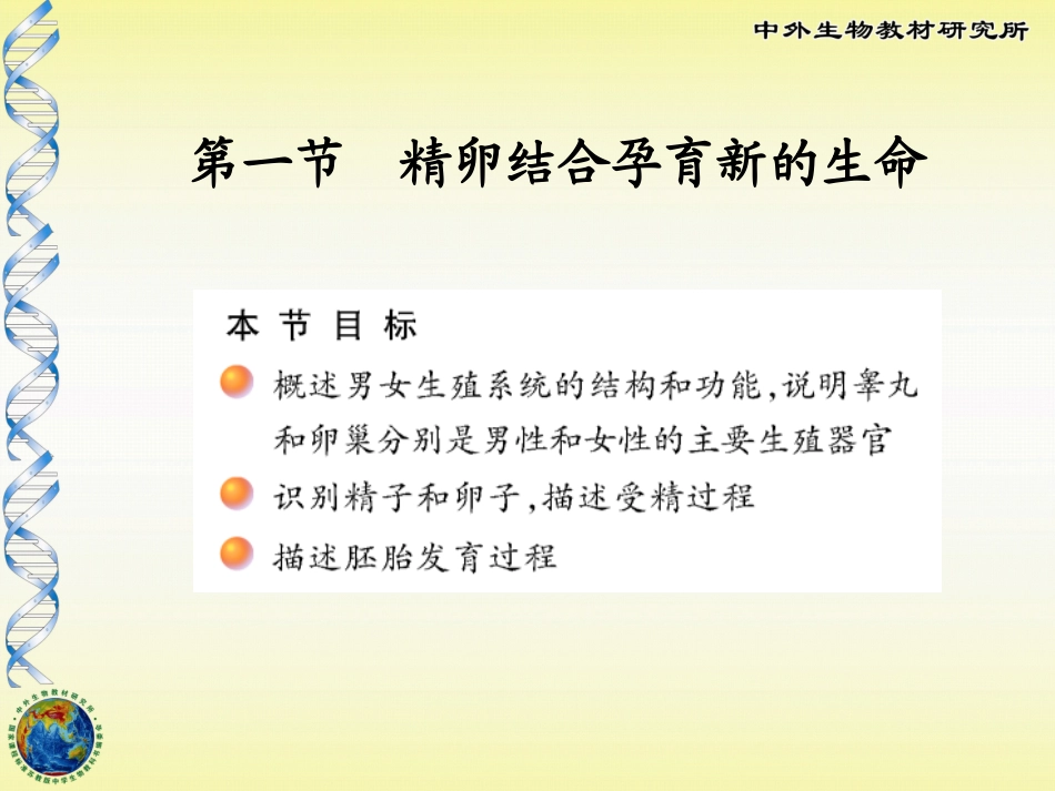 第一节精卵结合孕育新的生命_第3页