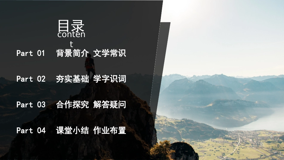 8我有一个梦想-(2)_第3页
