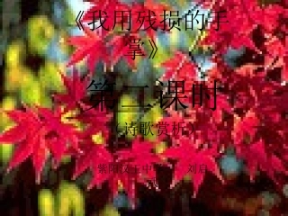 我用残损的手掌--刘启武