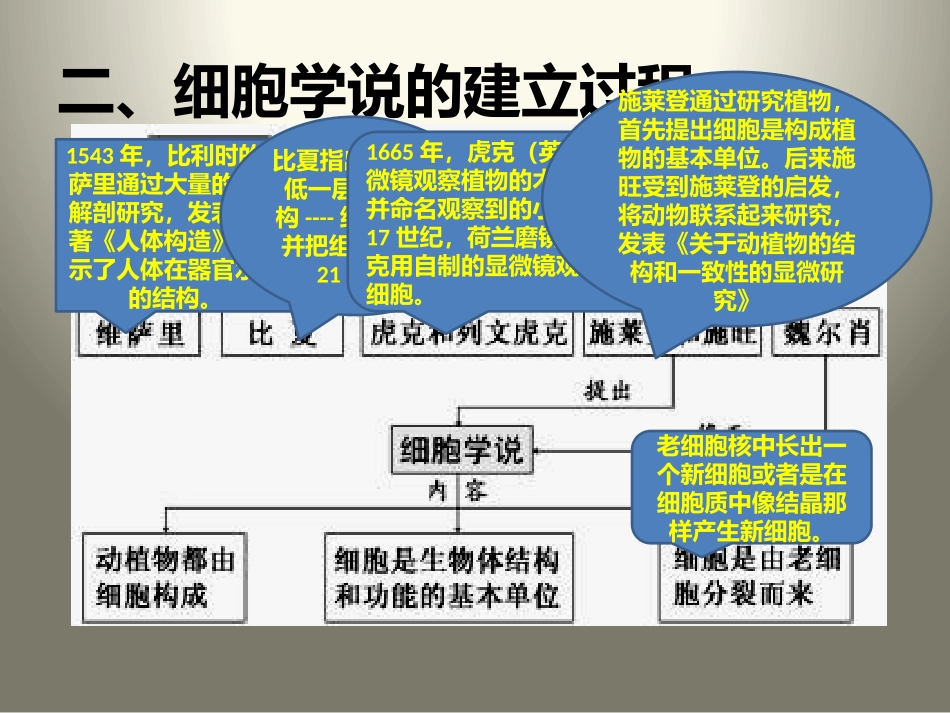 科学前沿组装细胞_第3页