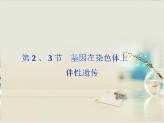 【优化方案】2014届高考生物一轮复习-第二章-第2、3节-基因在染色体上-伴性遗传课件-新人教版必修2