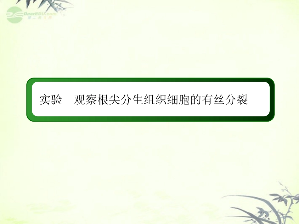 【红对勾】2013届高考生物一轮复习-实验观察根尖分生组织细胞的有丝分裂-课件-新人教版必修1_第3页