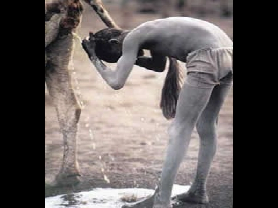 浙江省温州市第十一中学八年级科学上册-水在哪里课件1-新人教版_第3页