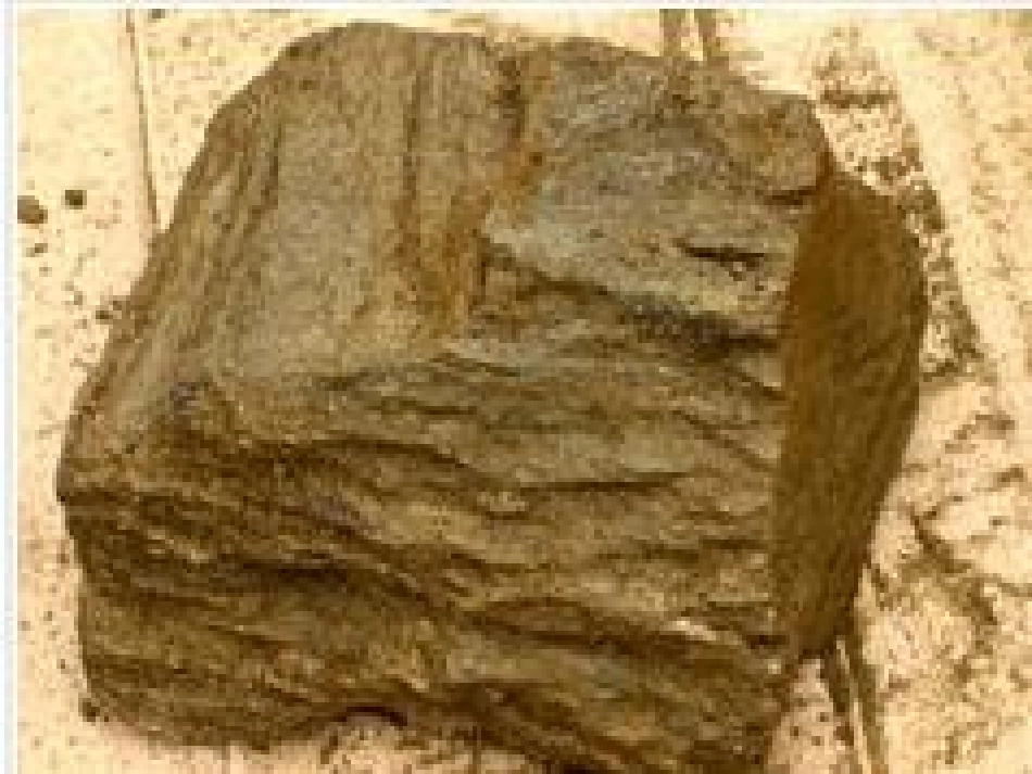 六年级科学上册-能量与太阳-1课件-教科版_第3页