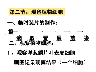 2010年第二节-植物细胞2