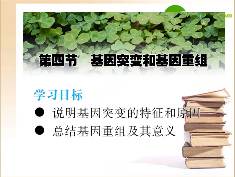 高中生物基因突变和基因重组课件苏教版必修2_第1页