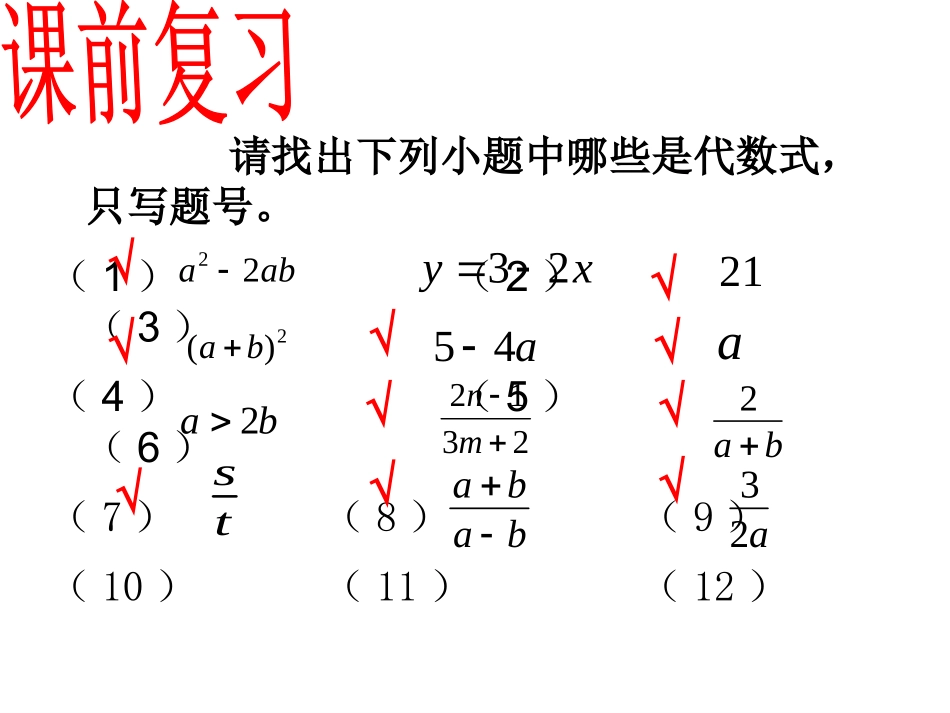 2.13整式.13整式_第2页