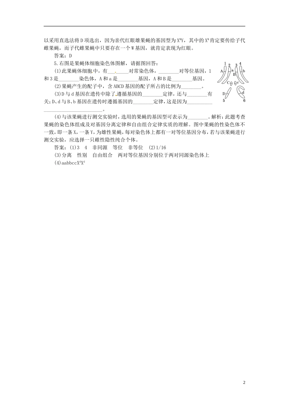 【三维设计】2013年高中生物-第2章-第2节-基因在染色体上随堂基础巩固-新人教版必修2_第2页