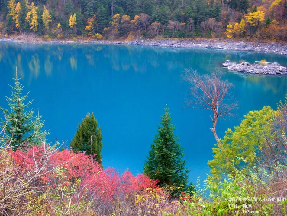 (西师大版)四年级语文下册课件-迷人的九寨沟_第1页