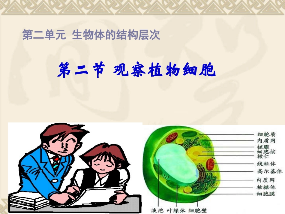 二单元第一章第二节植物细胞(1)_第1页