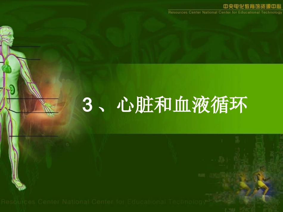 3[1].心脏和血液循环_第1页