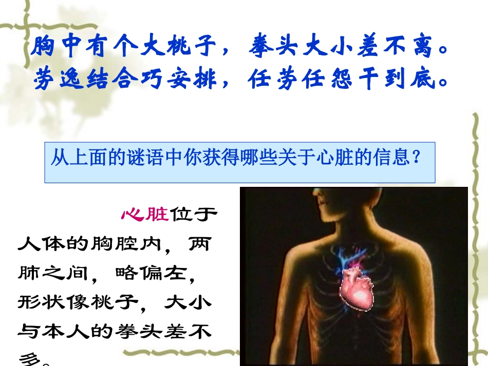 3[1].心脏和血液循环_第2页