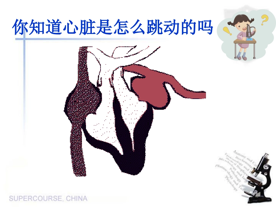 3[1].心脏和血液循环_第3页