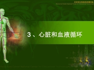 3[1].心脏和血液循环