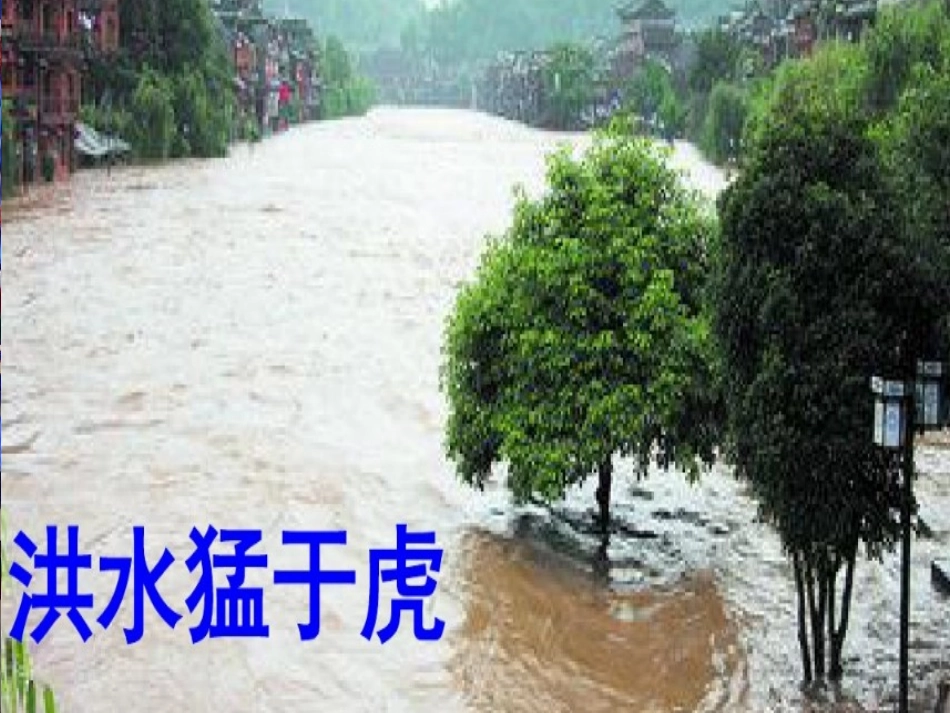 防汛主题班会_第3页