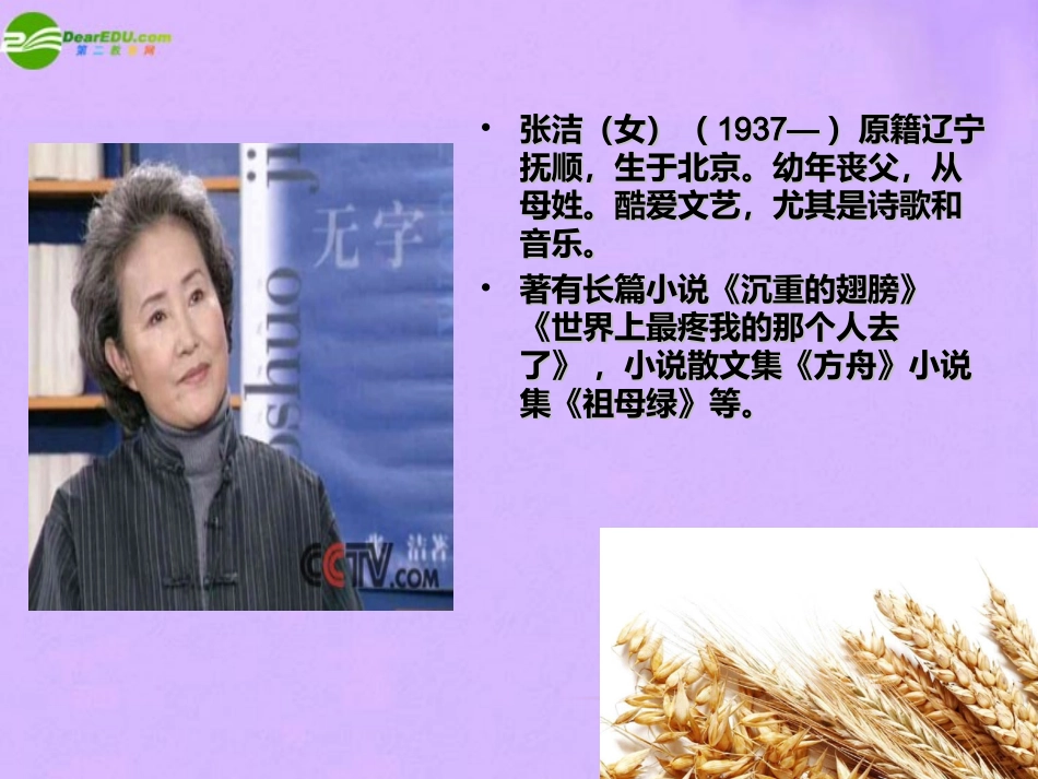 七年级语文上册《拣麦穗》精品课件-冀教版_第2页