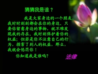 七年级政治下册-特殊保护-课件-粤教版
