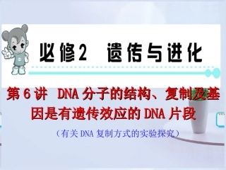 2013届高考生物第一轮高频考点-第6讲-DNA分子的结构、复制及基因是有遗传效应的DNA片段复习课件-新人教版