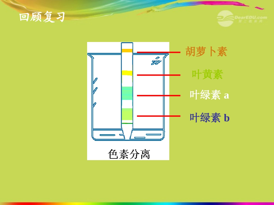 吉林省松原市扶余县第一中学高一生物《光合作用的原理和应用》课件-新人教版_第2页