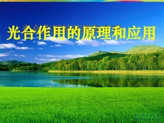 吉林省松原市扶余县第一中学高一生物《光合作用的原理和应用》课件-新人教版