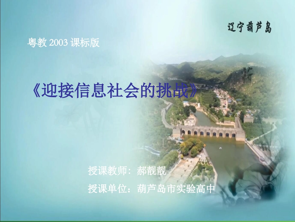 1.2.3迎接信息社会的挑战_第1页