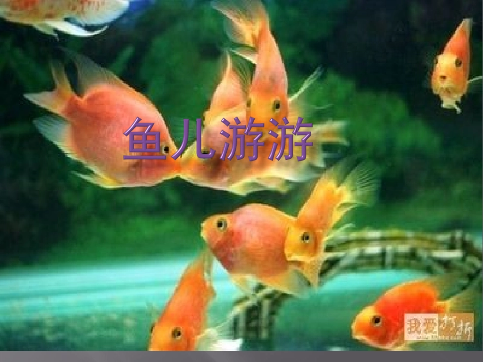 人教版小学美术一年级上册《鱼儿游游》课件》_第1页