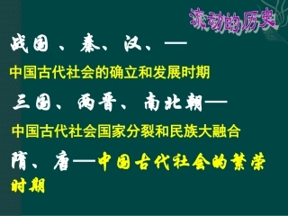 《隋的统一与大运河》课件07