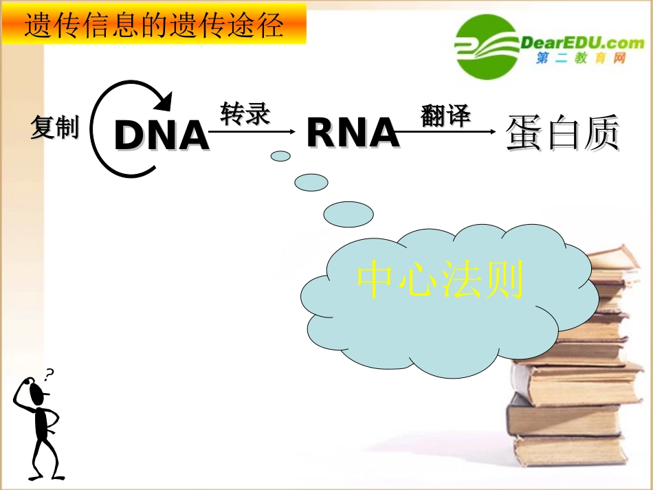 高中生物-4.2基因对性状的控制课件-人教版必修2_第2页